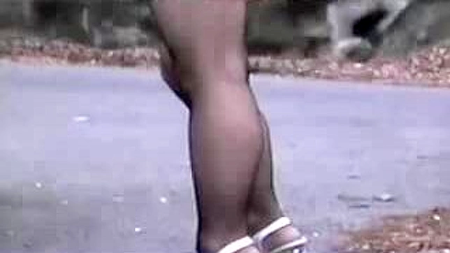 Asian Babe Shows Off Curves While Getting Fucked Hard