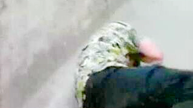 Asian Street Sex - Hot Babe Gets Fucked Hard Outdoors