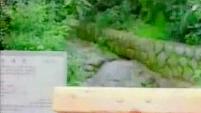 Asian Street Sex - Hot Babe Gets Fucked Hard Outdoors