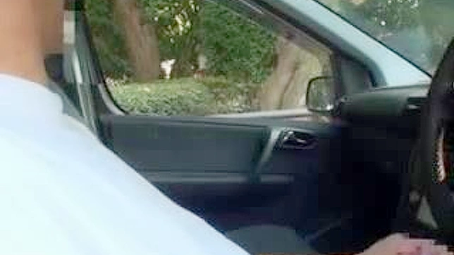 Carpenter Tricks Innocent Japanese Student Into Steamy Sex