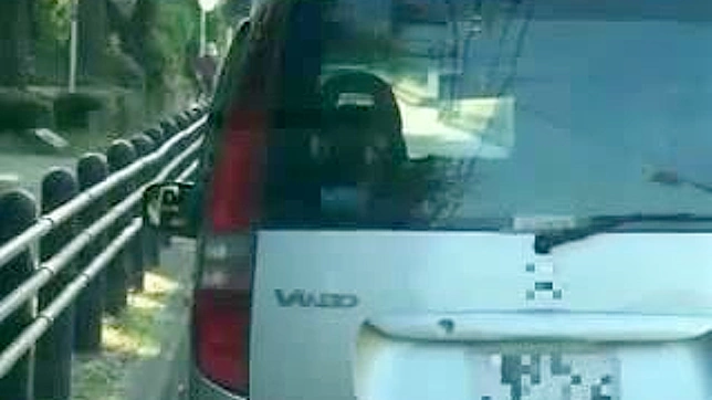 Carpenter Tricks Innocent Japanese Student Into Steamy Sex