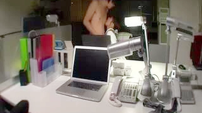 Oriental Beauty Gets Shocking Sex Surprise in Scene