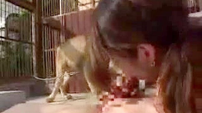 Fearless Woman Seduces Lusty Lions Inside Exciting Cage