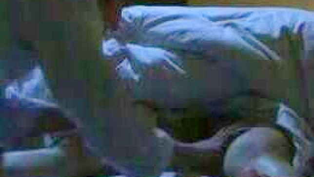 StepSon Sneakily Blissing Out with StepMom ARest For Forbidden Fantasy Sex
