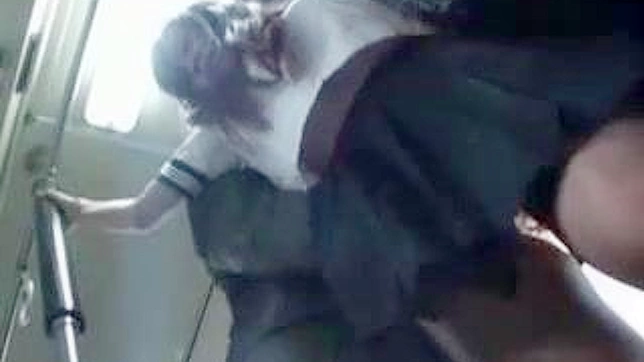 Japanese Schoolgirl 18+ Gets & Fucked in Public Room