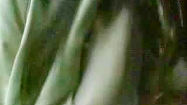 Japanese Driver Receives Blowjob Before Public Peeing Orgy