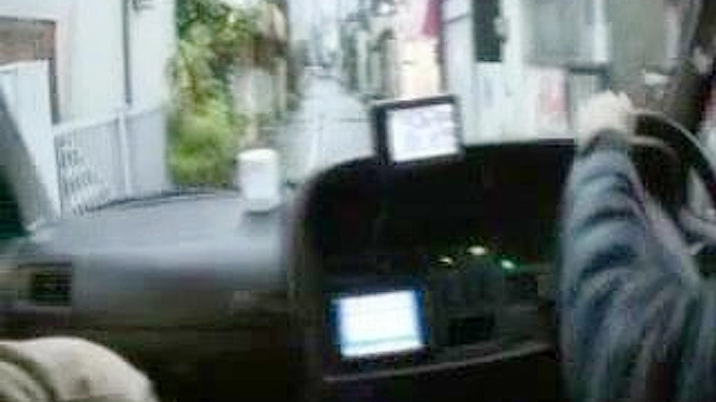 Japanese Driver Receives Blowjob Before Public Peeing Orgy