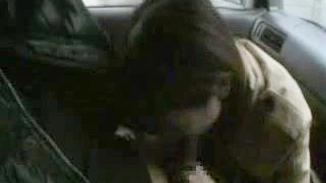 Japanese Driver Receives Blowjob Before Public Peeing Orgy