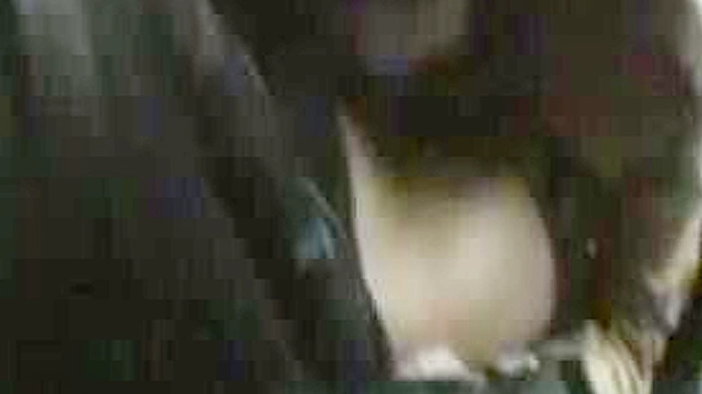 Japanese Driver Receives Blowjob Before Public Peeing Orgy