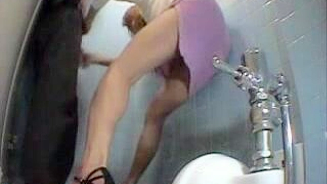 Japanese Toilet Temptation Leads to Sultry XXX Fun
