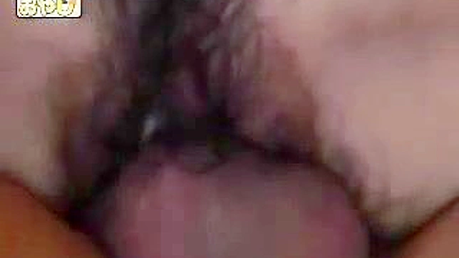 Asian Beauty Finds Solo Bliss Amidst Park Shadows