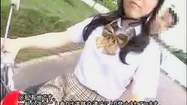 Biker Gang Takes JAV Star's Breasts On A Rough Adventure