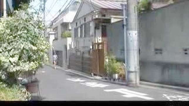 Nippon Girl 18+ Teasing Perv Guy With Kinky Bed Tricks