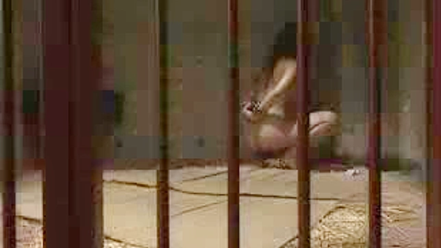 Jailbird JAV Star Gets Savage Sex Punishment Inside Bars