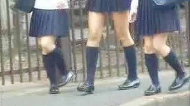 Nippon Schoolgirl's 18+ Life-Altering Night on the Public Bus Ride