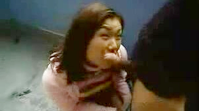 Japanese Blowjobs Exposed - Hidden Pleasure Secrets Revealed