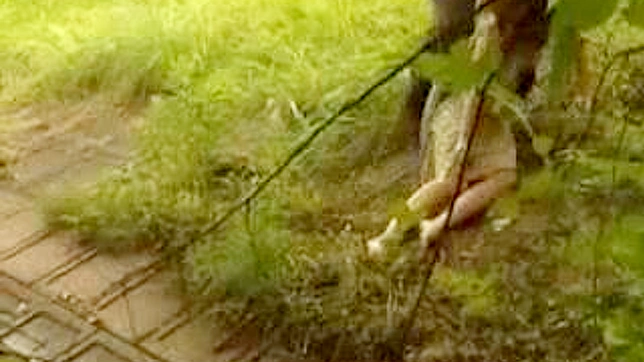 Dark Fantasies Erupt Inside Perverted Minds During Explicit Acts