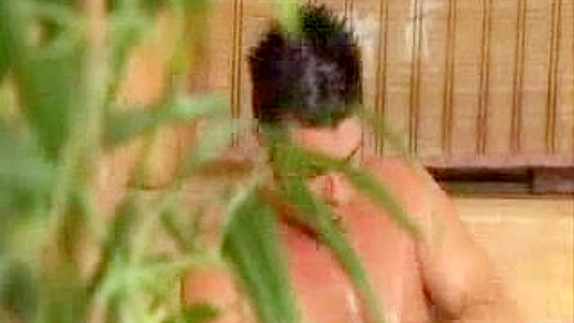 Seductive Maid Sneaks Sex With Married Master
