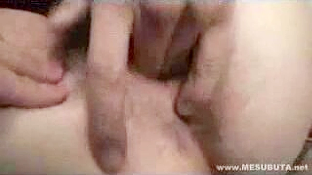 Asian Beauty Gets Fucked Sensually in Public Restroom Fantasy