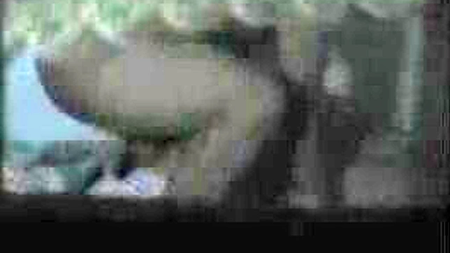 Asian Lovers Get Wild Showing Sex Acts In Public Spaces