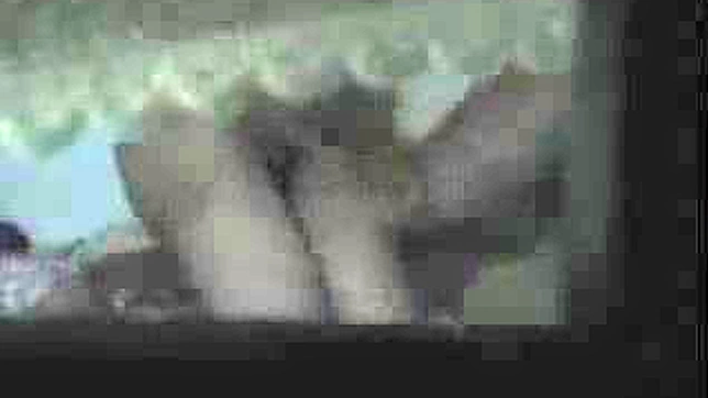 Asian Lovers Get Wild Showing Sex Acts In Public Spaces