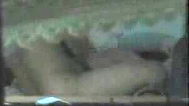 Asian Lovers Get Wild Showing Sex Acts In Public Spaces