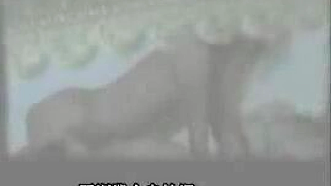 Asian Lovers Get Wild Showing Sex Acts In Public Spaces