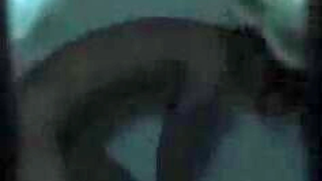 Asian Lovers Get Wild Showing Sex Acts In Public Spaces