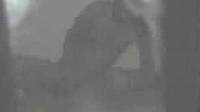 Asian Lovers Get Wild Showing Sex Acts In Public Spaces