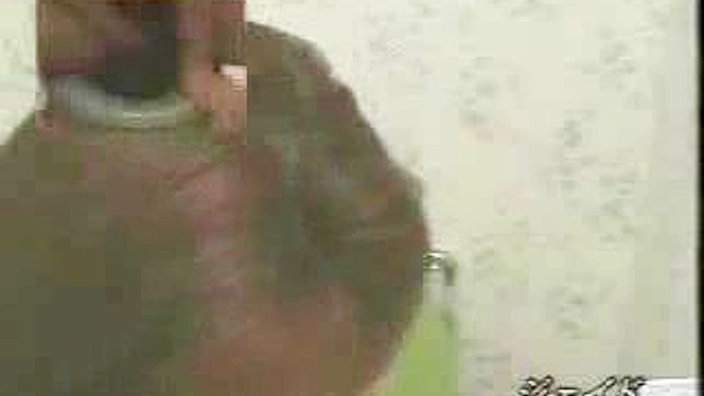 Asian Beauty's Hidden Pleasure in Toilet Masturbation