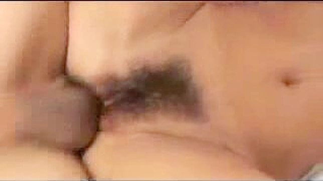 Passionate Encounter Between Asian Beauty & Her Lover