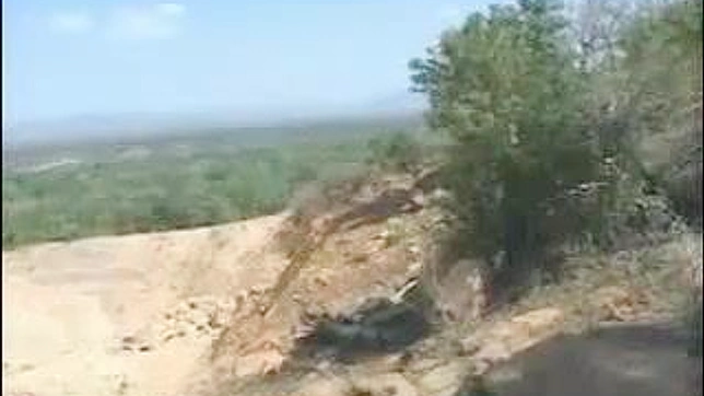 Lush Japanese Beauty Tempts Her Lover in Wild Nature Sex