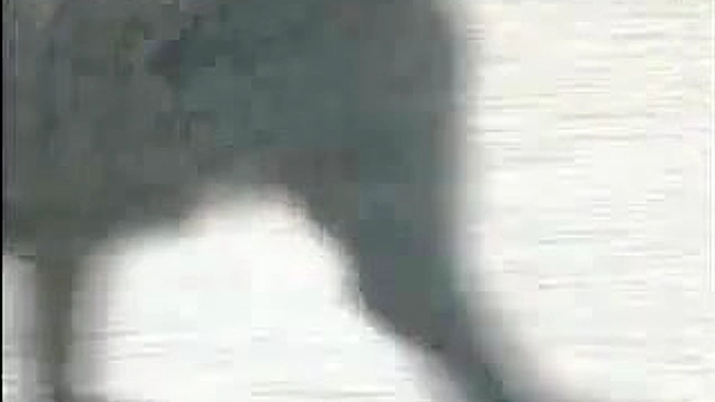 Lush Japanese Beauty Tempts Her Lover in Wild Nature Sex