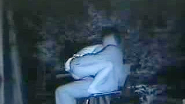 Excited Couple Gets Wild in Public Park Getting Filmed Live