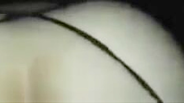 Amateurs Mesmerize With Up-Close Personal Blowjob Skills