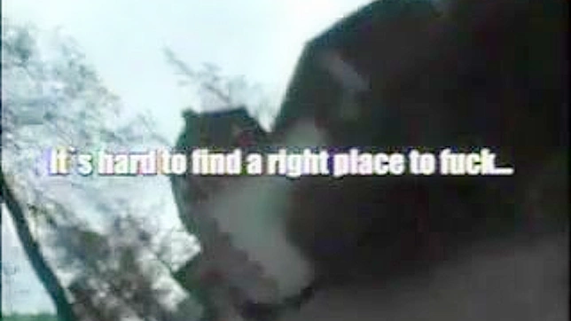 Tight Asian Pussy Publicly Fucked for Utimate Thrills & Joy