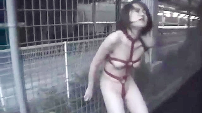 Depraved Japanese Slut Goes Wild & Insane For Hardcore Sex