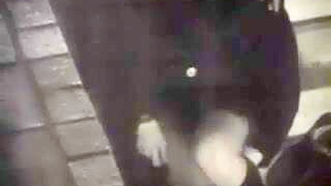 Exposed Sultry Japanese Voyeur Craves Public Sex Orgasms