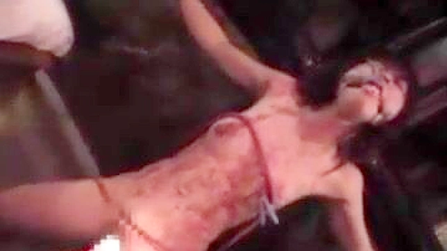 Kinky Japanese Genius Creates Unmissable Sex Fantasy Delightful