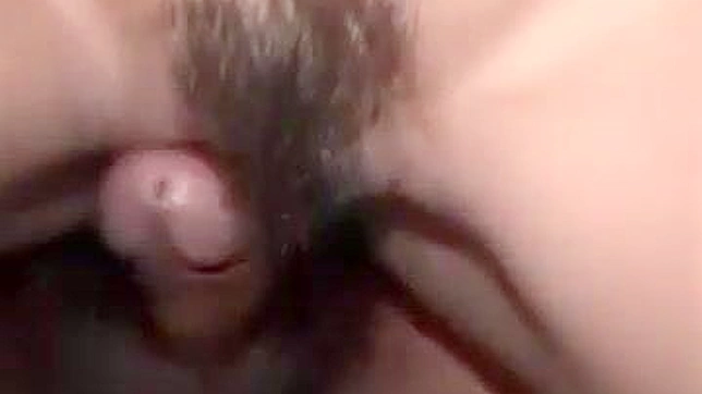 Horny Japanese Chick Gets Her Hairy Pussy Stuffed Sensually