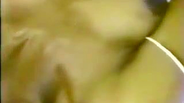 Japanese Babe Explodes into Pleasure during Hardcore Sex