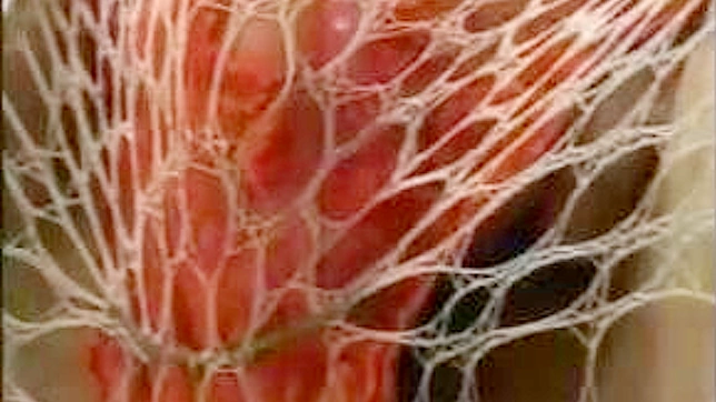 Sizzling Seduction - Steamy Finger Play and Wet Kisses Heat Up