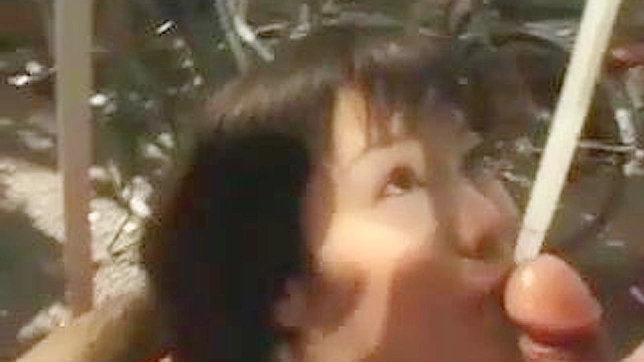Publicly Exposed Japanese Slut Gets Nasty Outdoors