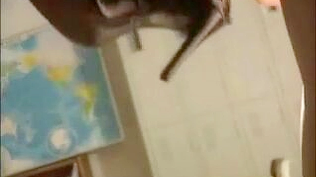 Japanese Schoolgirl 18+ Gets Roughly Fucked by Older Men