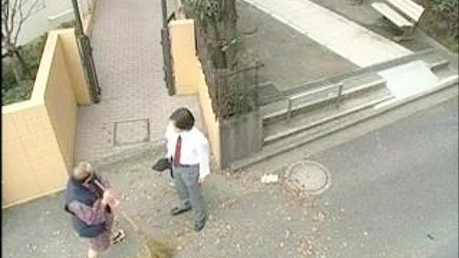 Japanese Schoolgirl 18+ Gets Roughly Fucked by Older Men