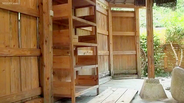 Shy Japanese MILFs Relaxing in Hot Spring With Seductive Curves