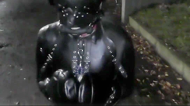 Japanese Bondage Thrills - Hot BDSM Action Awaits Viewers!