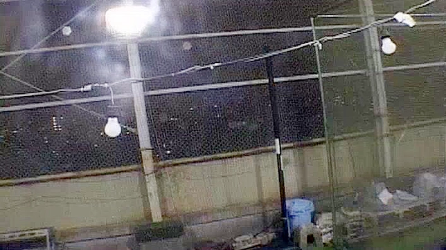 Exotic Japanese Model Gets Rough Outdoor Gangbang Fun