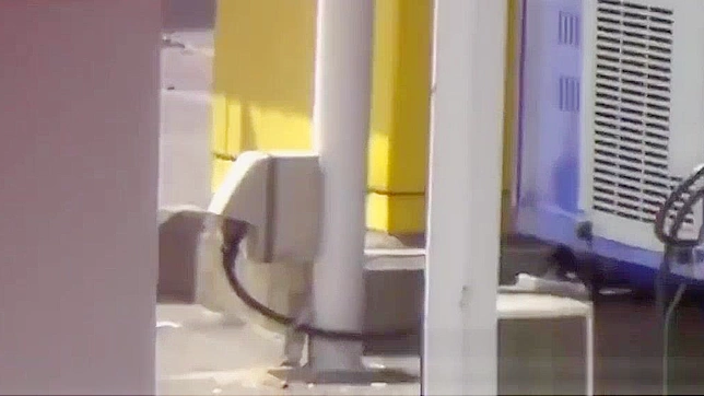 Japanese Babes Show Wet Cunts While Publicly Urinating