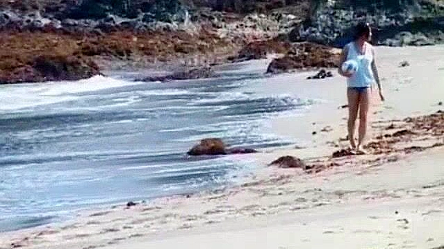 Nagisa Okamoto Seduces with Hot Blowjob & Juicy Sex Showdown